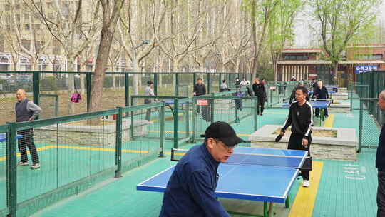【合集】清晨公园打乒乓球市民