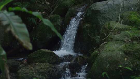 山涧清泉流水纯净山泉水