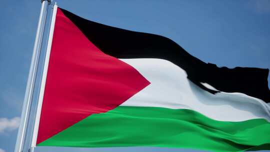 巴勒斯坦旗帜视频素材模板下载