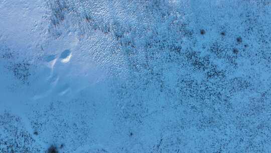 大兴安岭俯拍冬季雪景视频素材模板下载