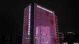 粤港澳大湾区青年创业基地夜景高清在线视频素材下载