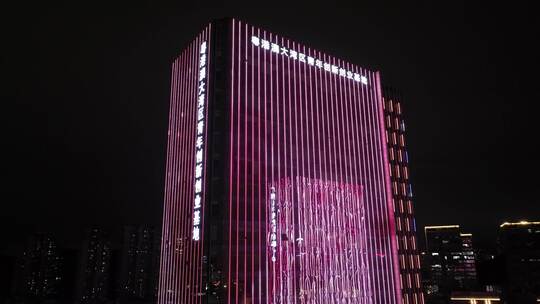 粤港澳大湾区青年创业基地夜景