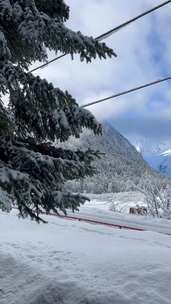 有树木和电线的雪山景色