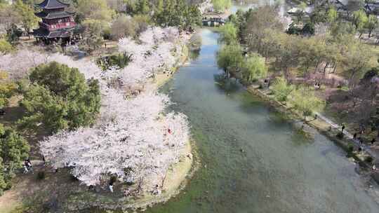 武汉江岸区堤角公园春天航拍