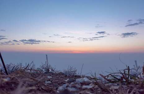 延时凌晨霜雪风吹草动特写