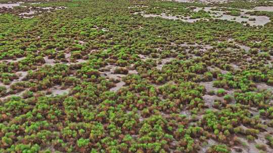 新疆吐鲁番盆地湿地航拍