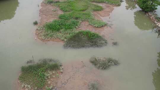 春季丰水期的湿地航拍