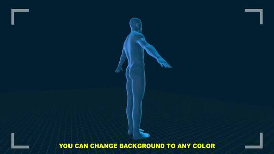 简约的3D人体信息图人体模型医疗体育演示AE模板