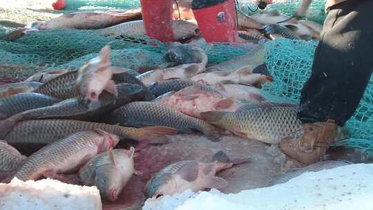 冰封湖面上的传统捕鱼