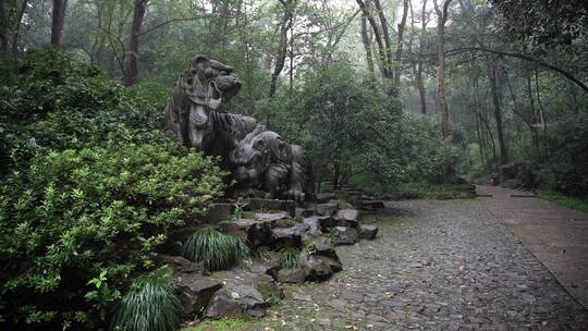 杭州西湖景区虎跑公园森林氧吧