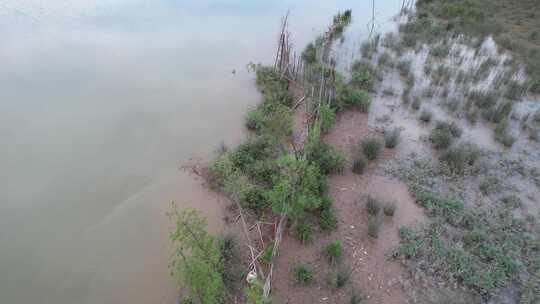 河流岸边湿地生态景观航拍