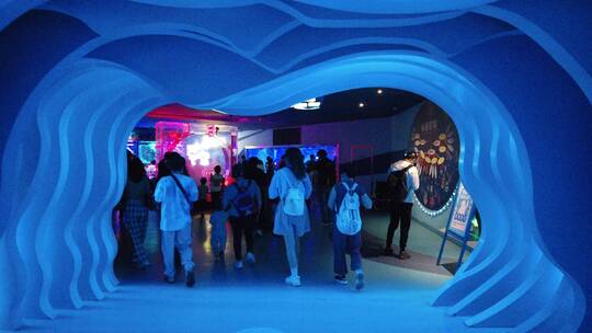 上海海昌海洋公园动物海洋馆游乐园4K素材