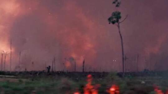 60-70年代森林山林火灾大火山火