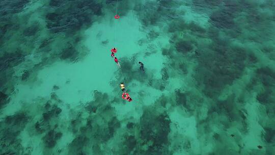 在珊瑚礁潜水航拍景观视频素材模板下载