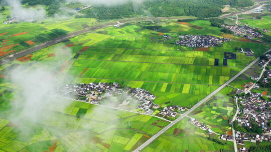 雨后乡村云雾缭绕 唯美光影 绿色稻田