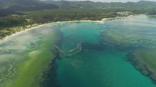 海滩和大海的海景