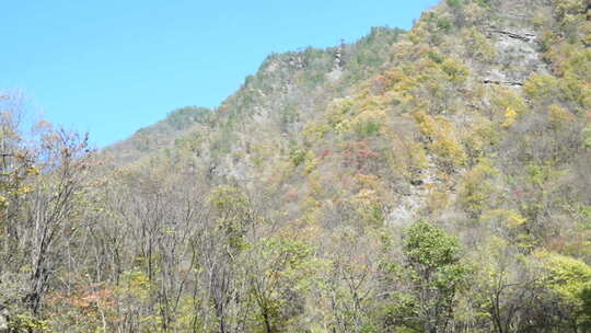 秦岭山脉秋季风景视频素材模板下载