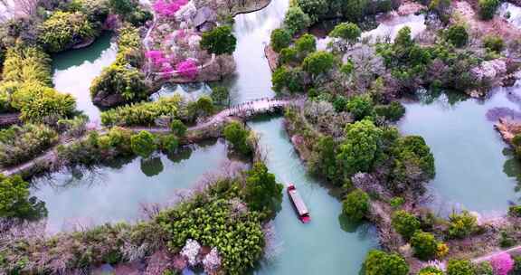 杭州西溪湿地梅花江南水乡小船惬意春游