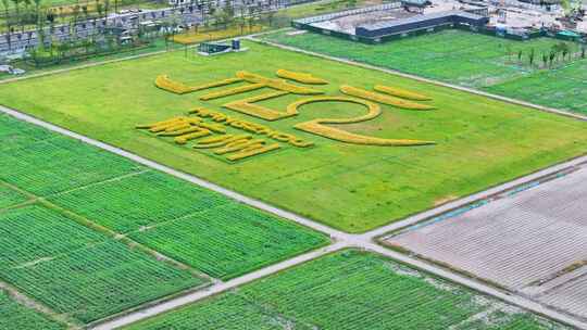 浙江省杭州市亚运村“杭”字草坪