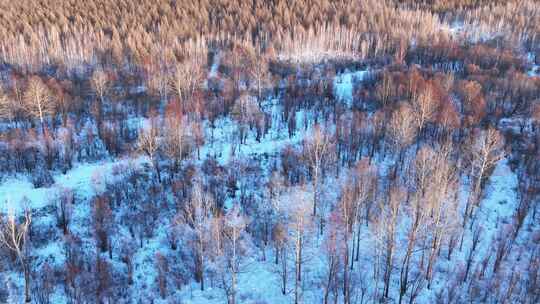 鸟瞰夕阳照耀的冬天雪林雪景