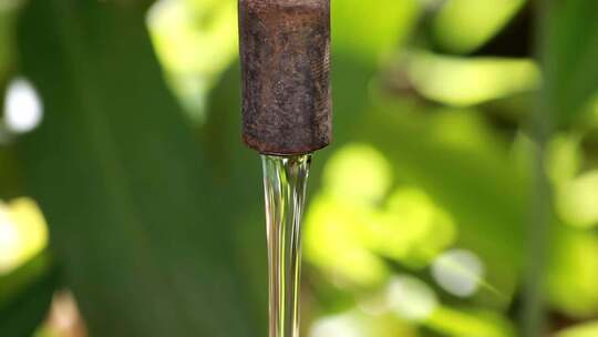 有一滴水从里面冒出来的水管