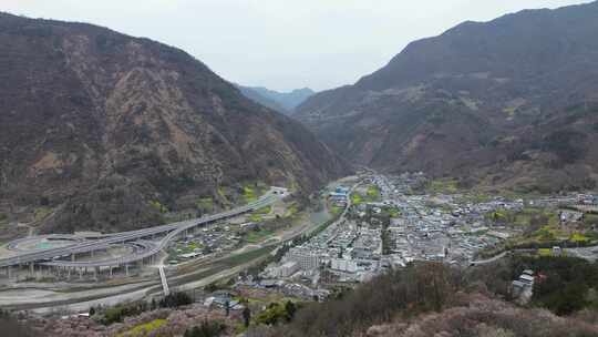 四川绵阳市平通镇梅林