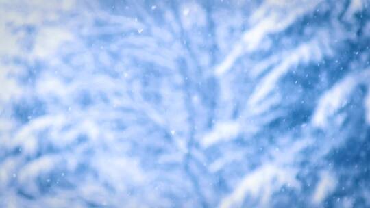 航拍积雪覆盖的山峰 森林树林 特写镜头视频素材模板下载