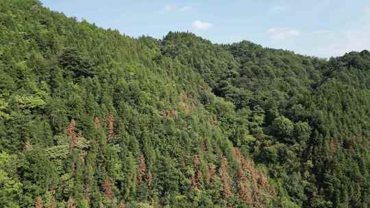 航拍自然风光大山森林