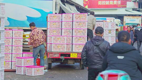 【原创合集】福州南通水果批发市场视频素材模板下载