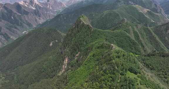 森林 青山绿水 天然氧吧