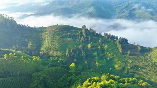 茶山大气航拍