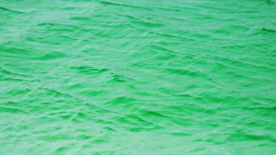波光粼粼的盐湖