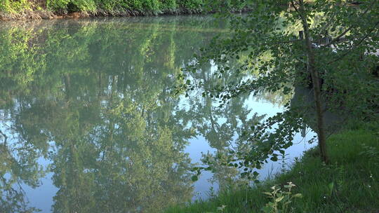 池塘水中的倒影特写镜头