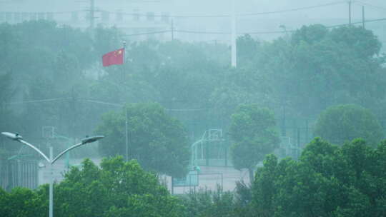 狂风暴雨中的城市街景 绿化植物