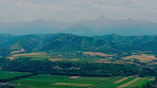 玉米种植基地