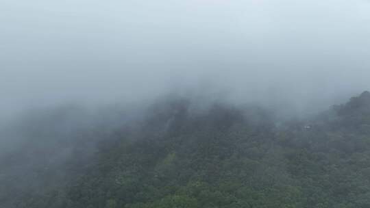 泰国普吉岛雨后的山和雾