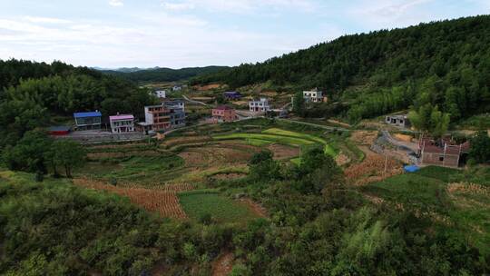 航拍现代山区的稻田人家田园风光