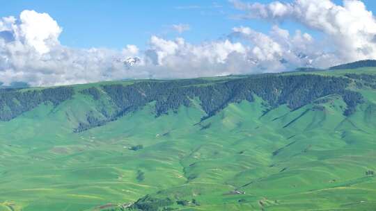 新疆天山草原风光