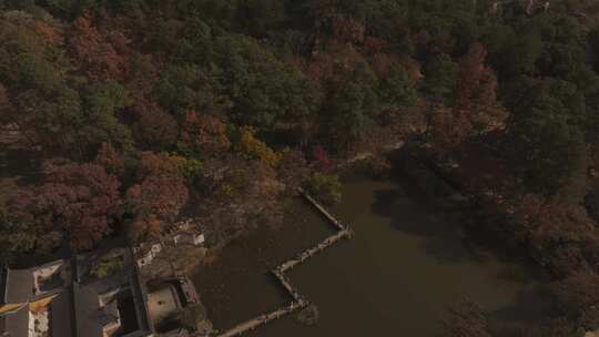 苏州天平山枫叶红了视频素材模板下载