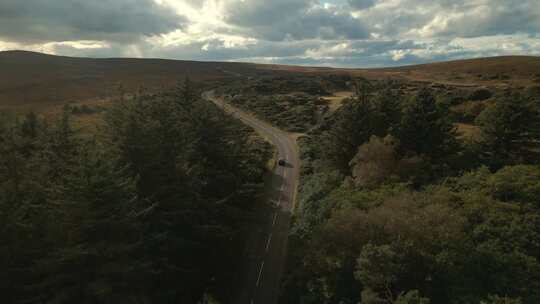 Trees Top， Road，汽车，苏