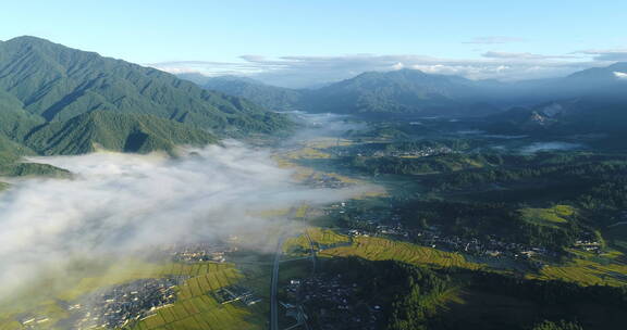 云雾下山川大地 金黄稻田