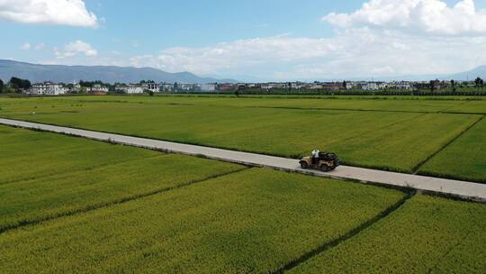 稻田秋天秋收颜色航拍摄影