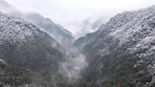 山间雪景雾霭弥漫景象 浙西大峡谷