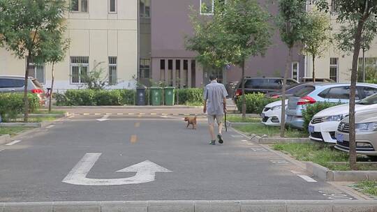 老爷爷散步遛弯