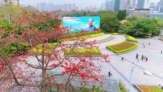 航拍深圳 邓小平画像广场