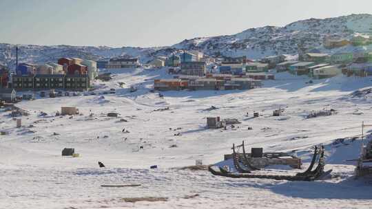 雪橇犬、爱斯基摩犬、哈士奇犬、城镇建筑