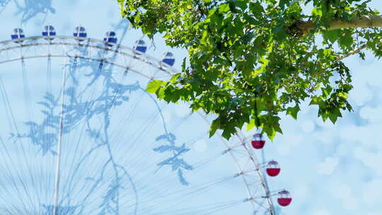 双重曝光树叶光影树荫自然清新夏天小暑夏至