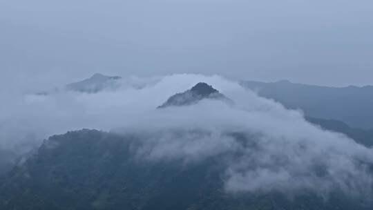 洪雅 森林 烟雾缭绕 自然云雾山脉