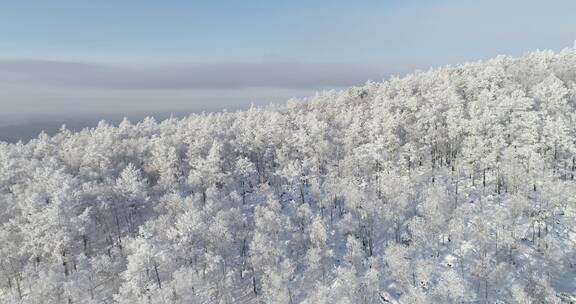 零下40度的低温航拍大兴安岭冰雪雾凇