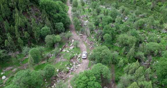 探险密林河谷山路行车航拍